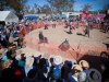 web_980_tara-034-2484
