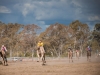 web_980_tara-107-4802