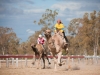 web_980_tara-108-4806