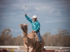 web_980_tara-110-4815