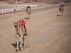 web_980_tara-125-4908