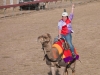 web_980_tara-126-4923