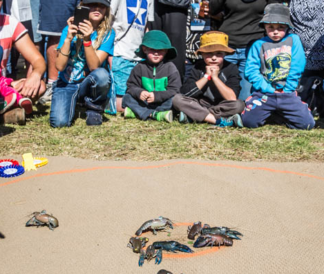 Yabbie Racing For The Kids - Tara Festival of Culture & Camel Races