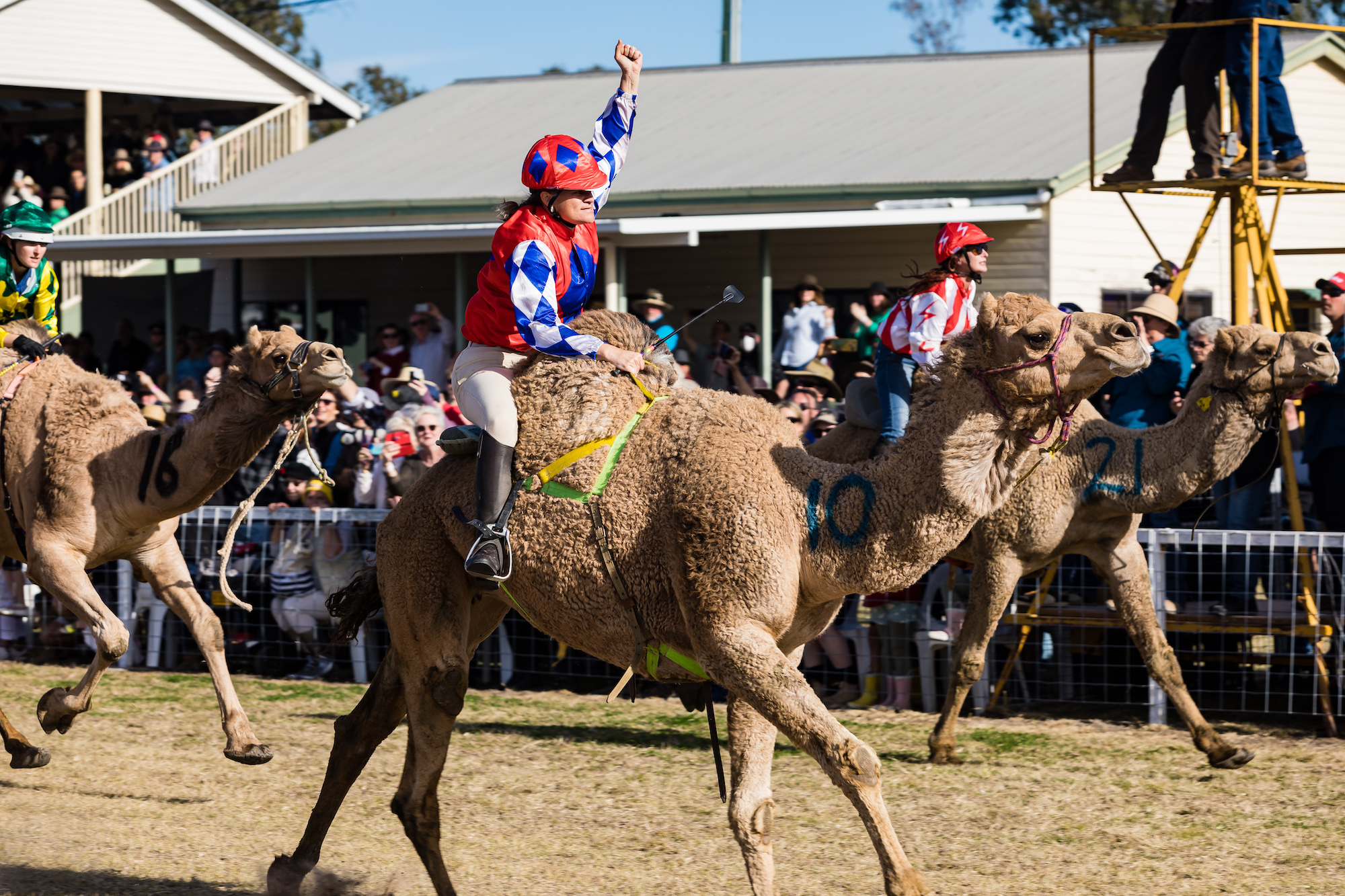 Everything to Know about Camel Racing at Tara Festival – Tara Festival of  Culture & Camel Races